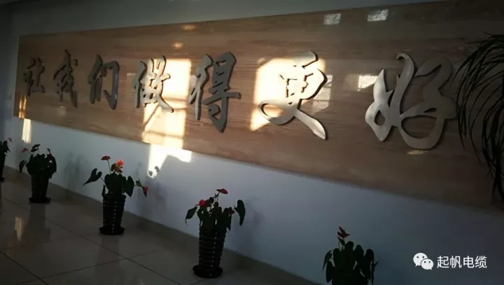 第六届金山区区长质量奖公布，Z6·尊龙凯时「中国」官方网站电缆周供华榜上有名
